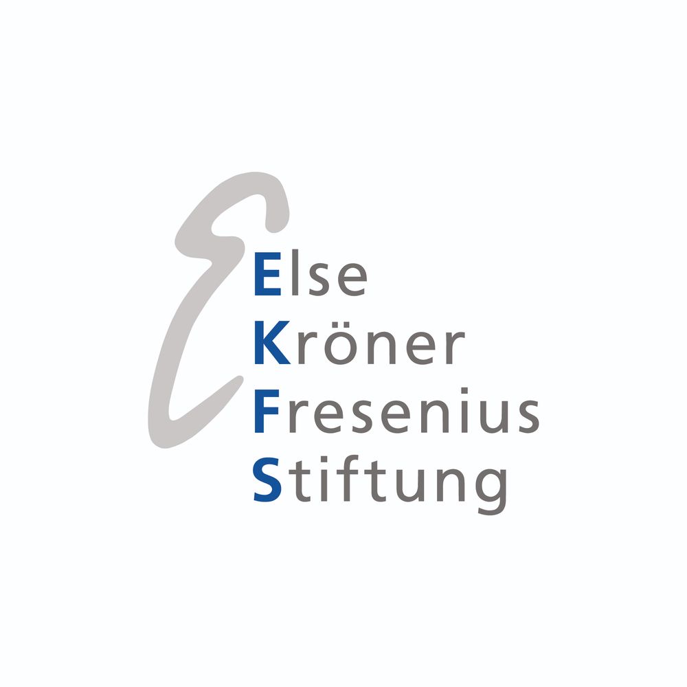 Else Kröner-Fresenius-Stiftung