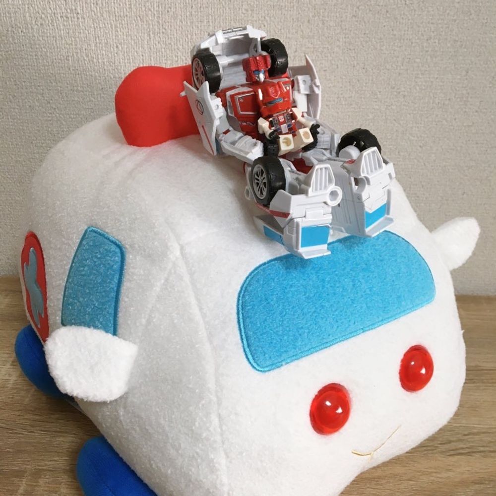 モツ