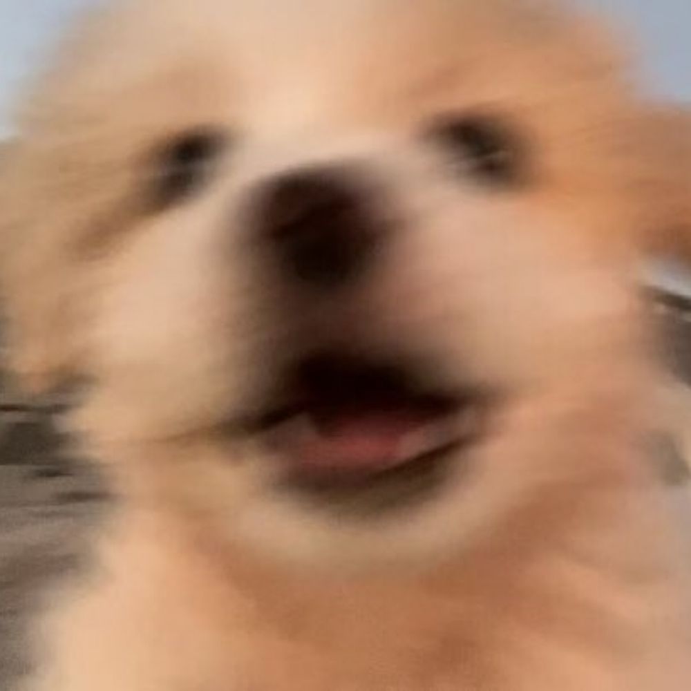 꾸키