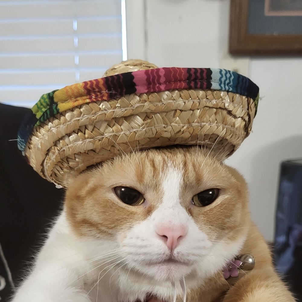 Rowdyspacecat