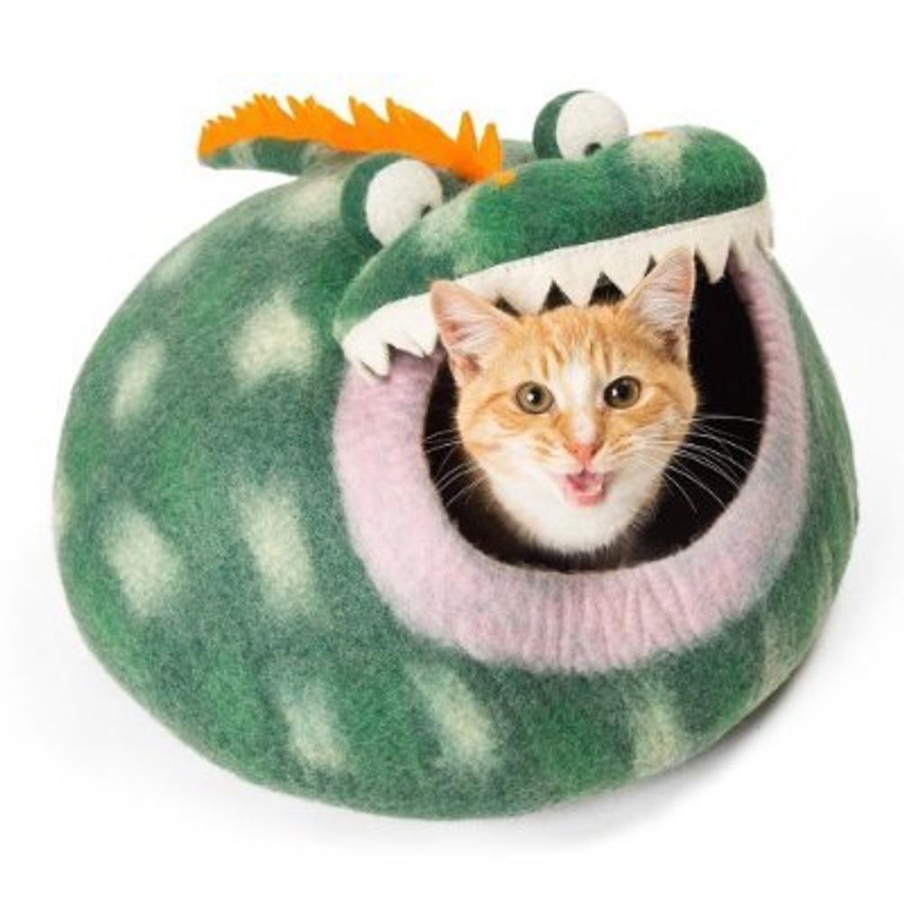 dragoncat