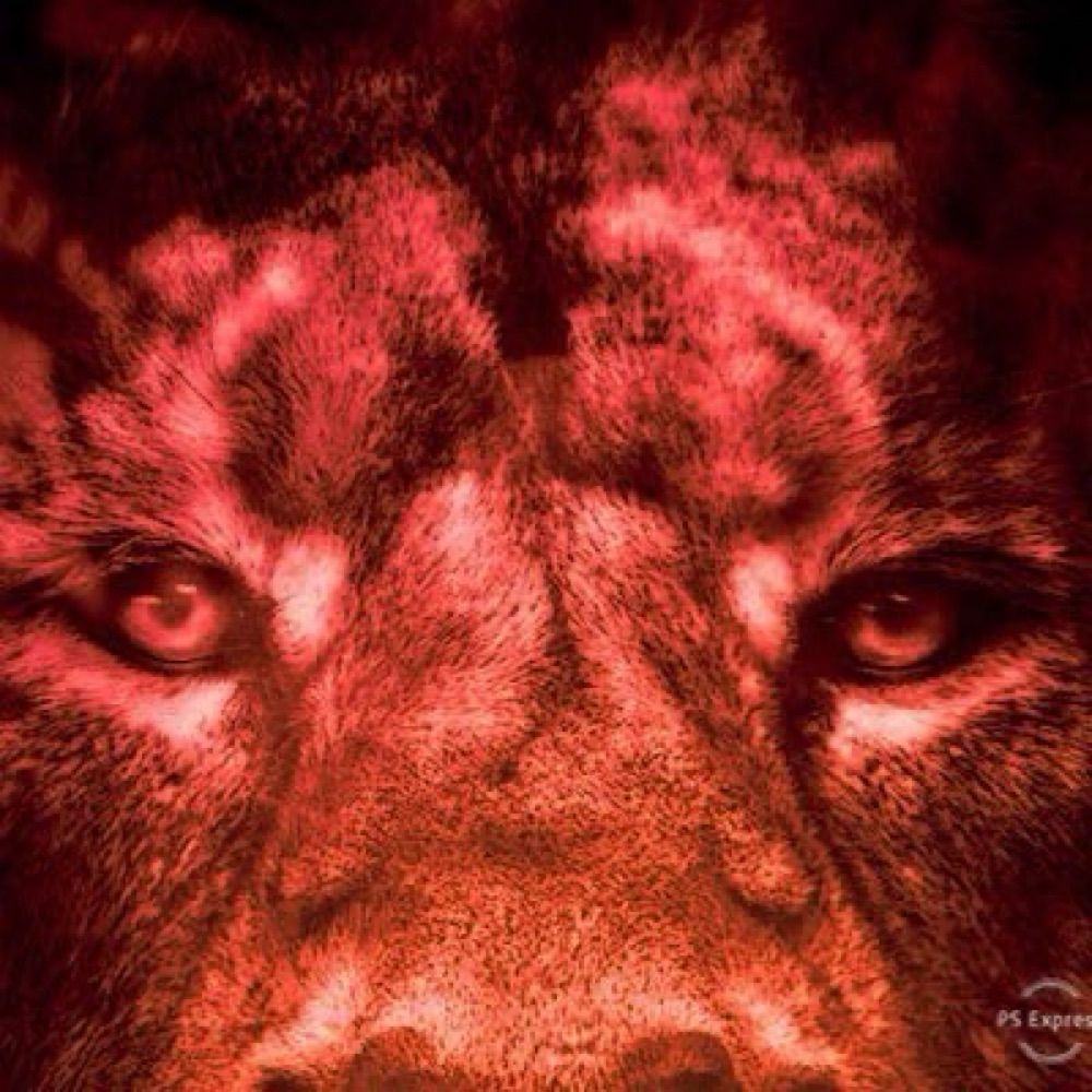 lachyharka.bsky.social