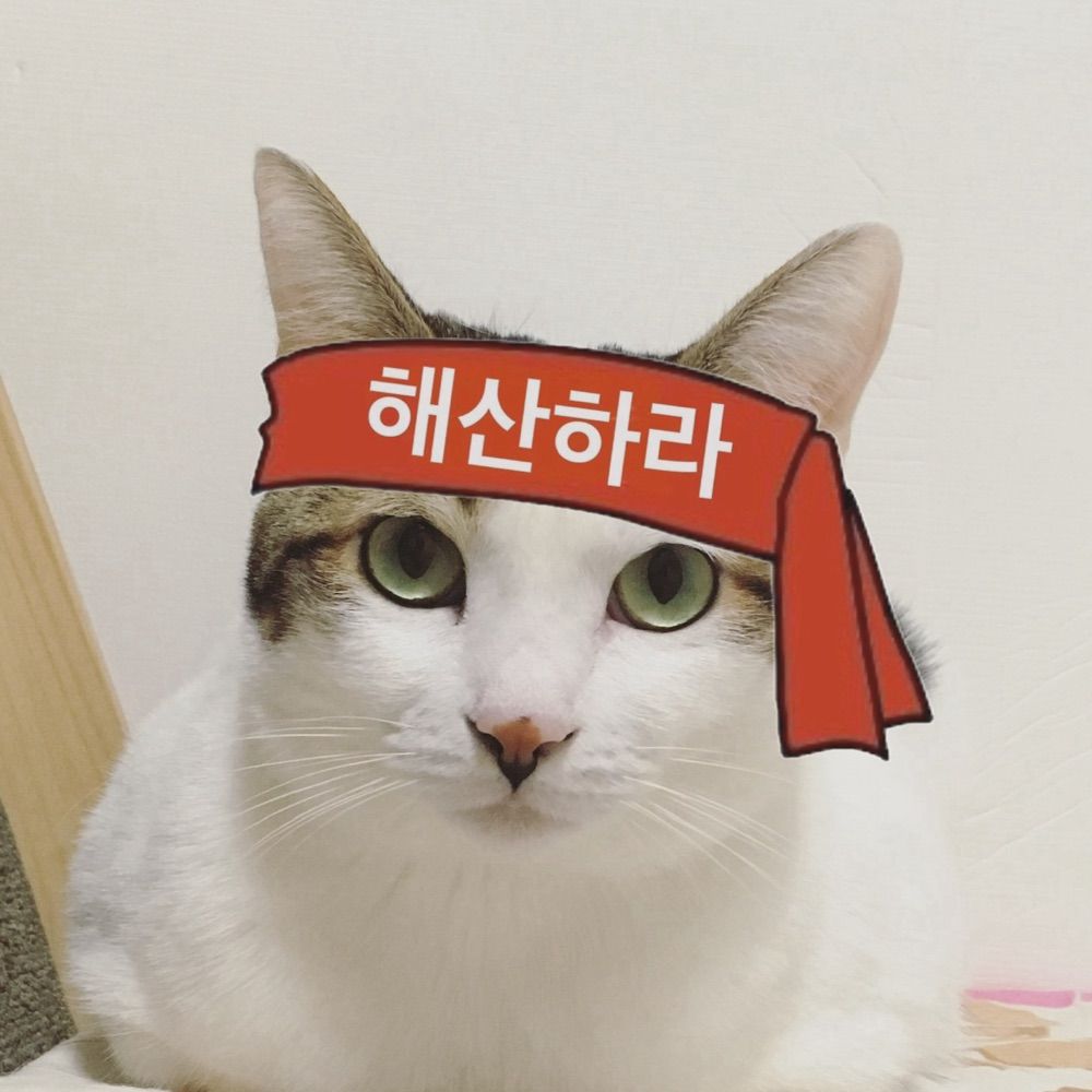 User avatar