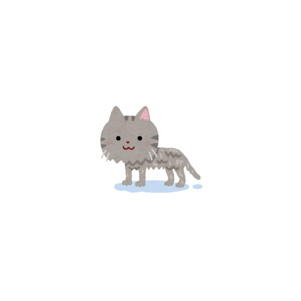 ✧ﾐ