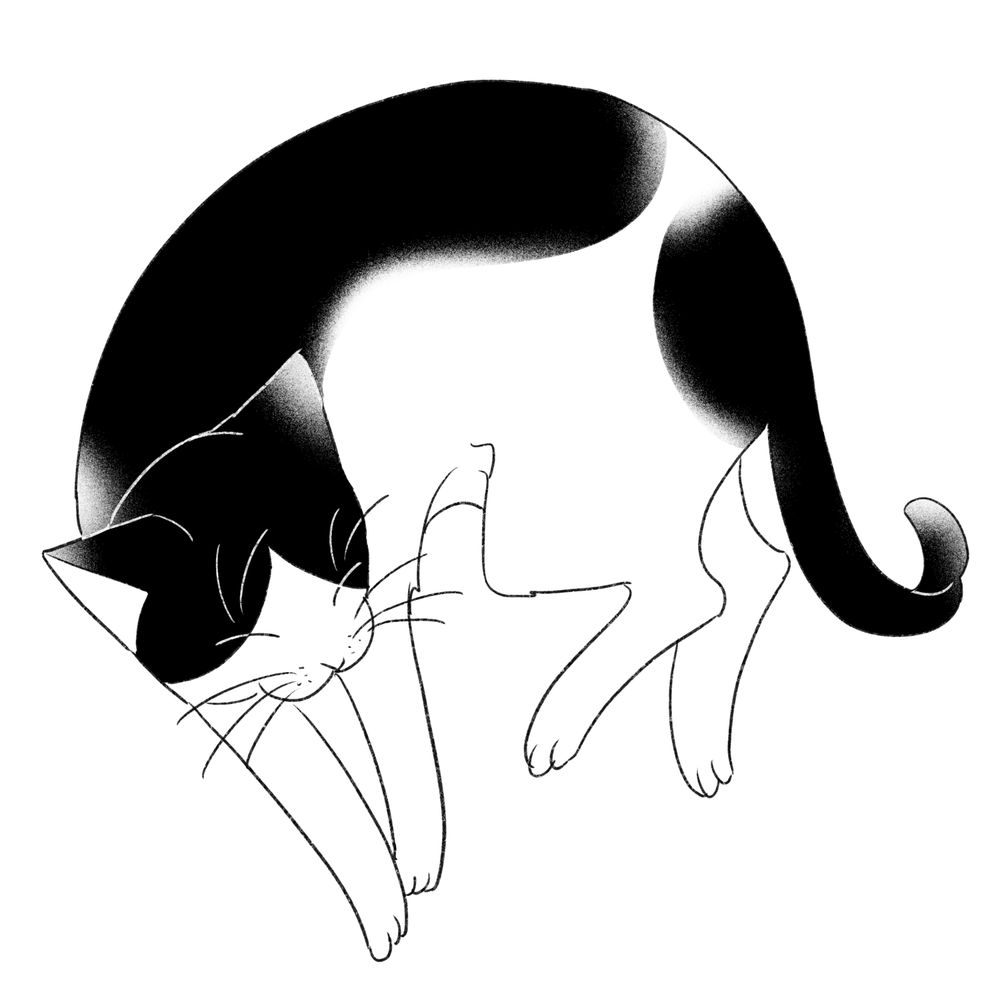 黒山猫人