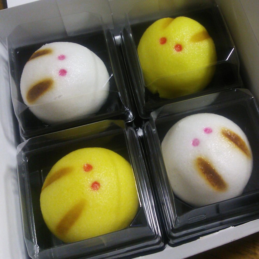 とうにゅう
