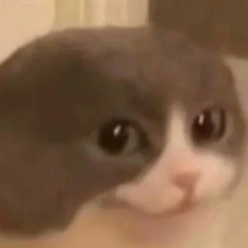 訪問者Ｘ。🐦‍⬛