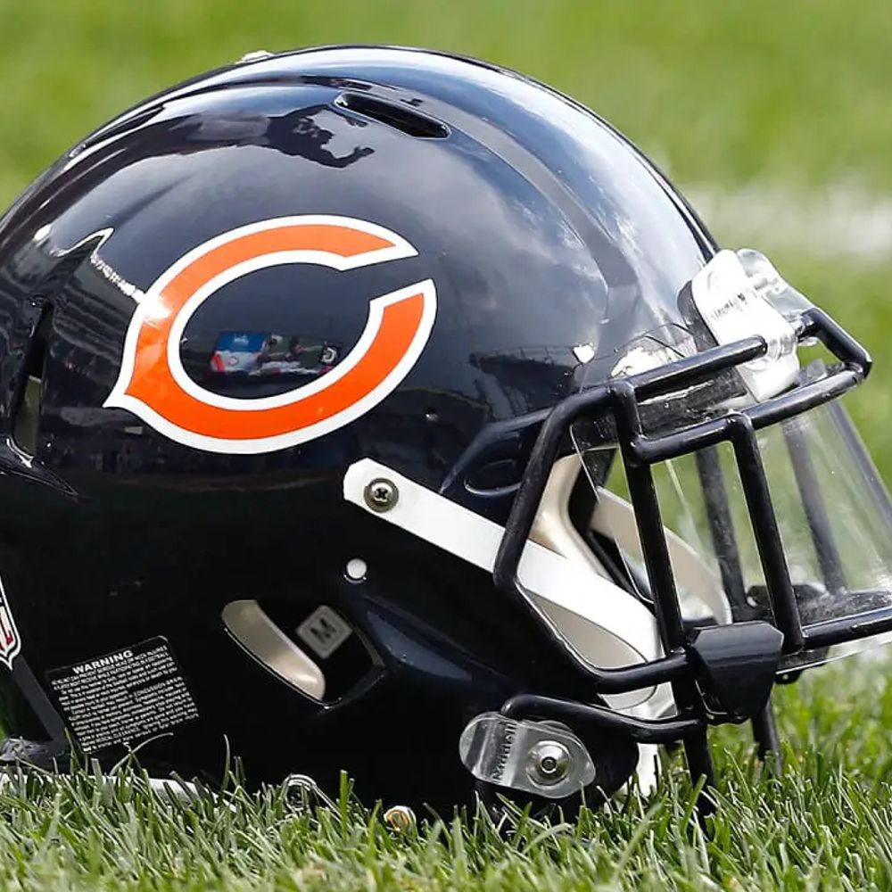 Bears Fans Corner