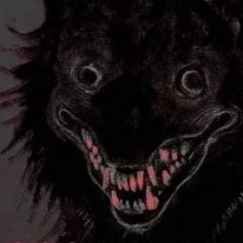🐕‍🦺⚧️ ESA Auden 