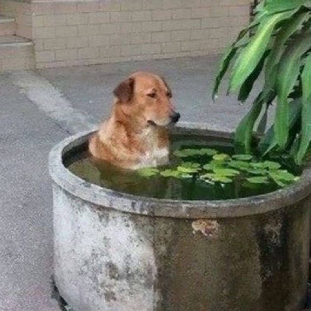 무두