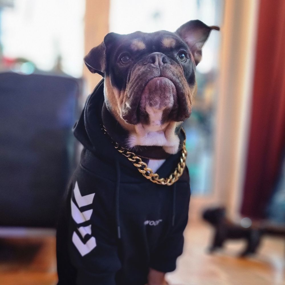 Mr. Bully 