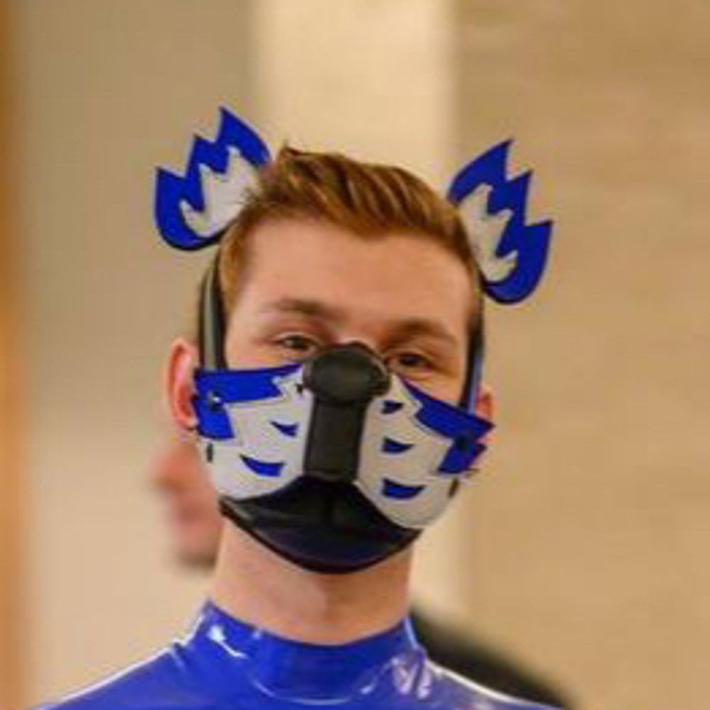 PupQuery