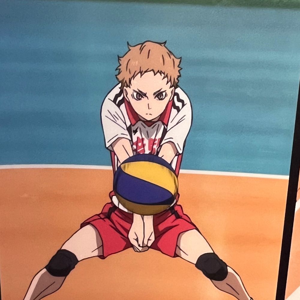 炉叶乃羽