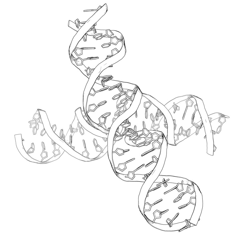 Molecular Programming