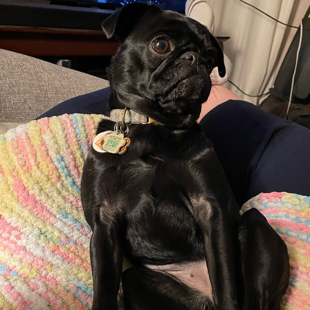 Hot Doby 🇨🇦