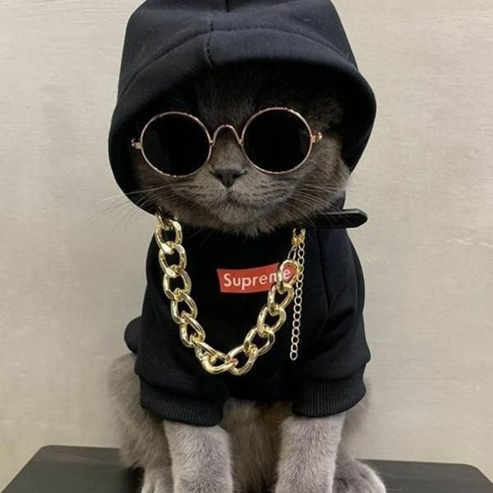Oi