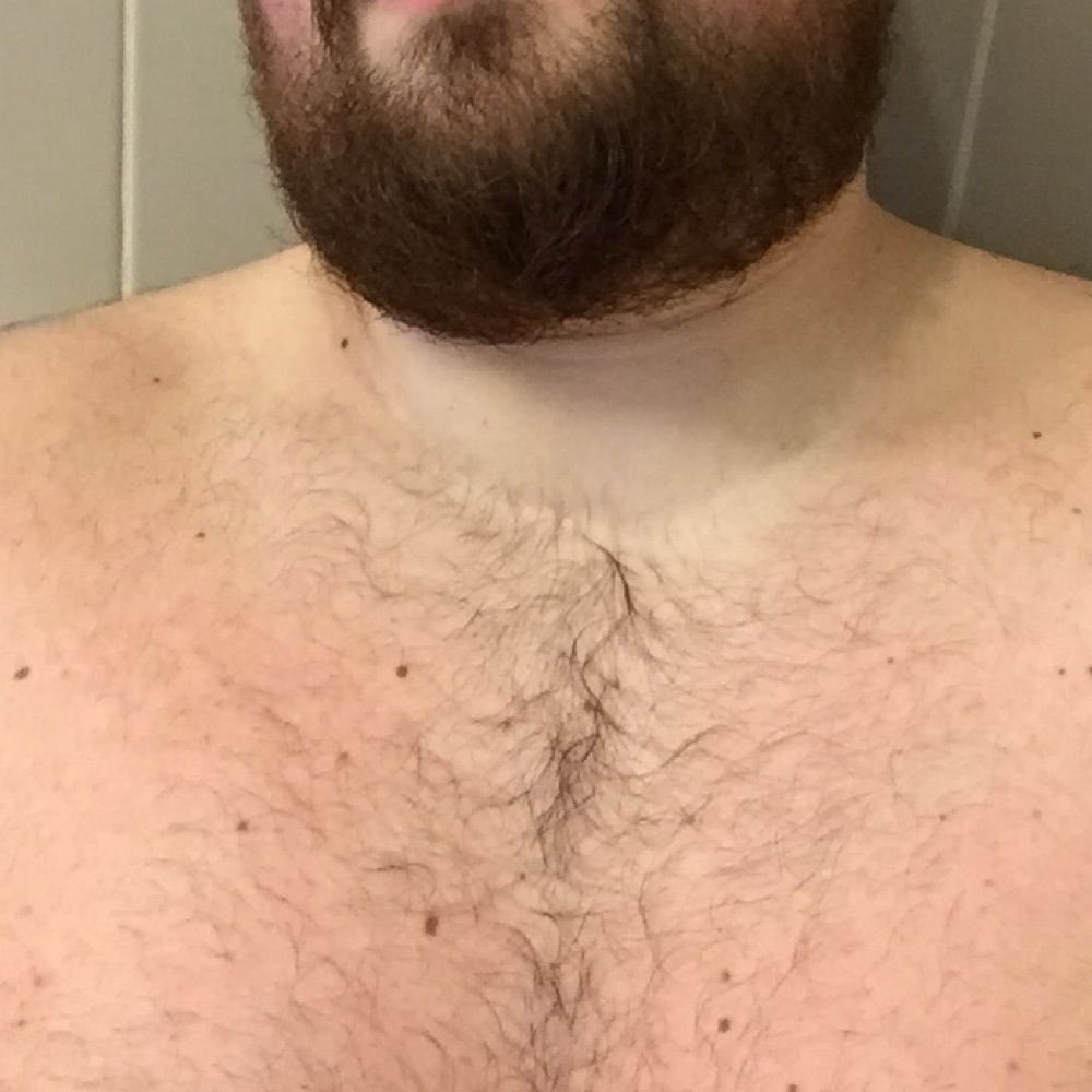 BearSP