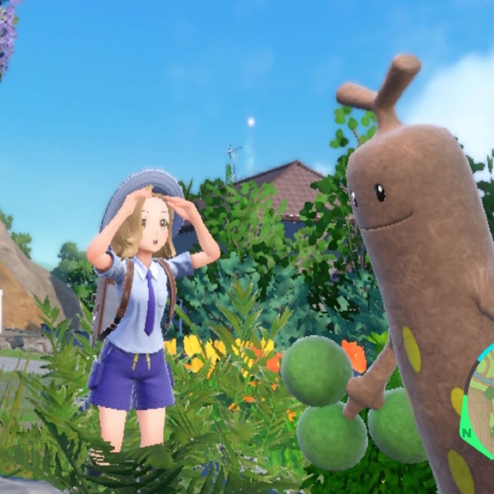 POCO@ポケモン写真家📷