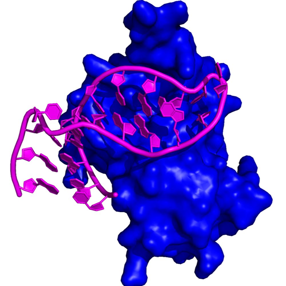 Schlundt lab