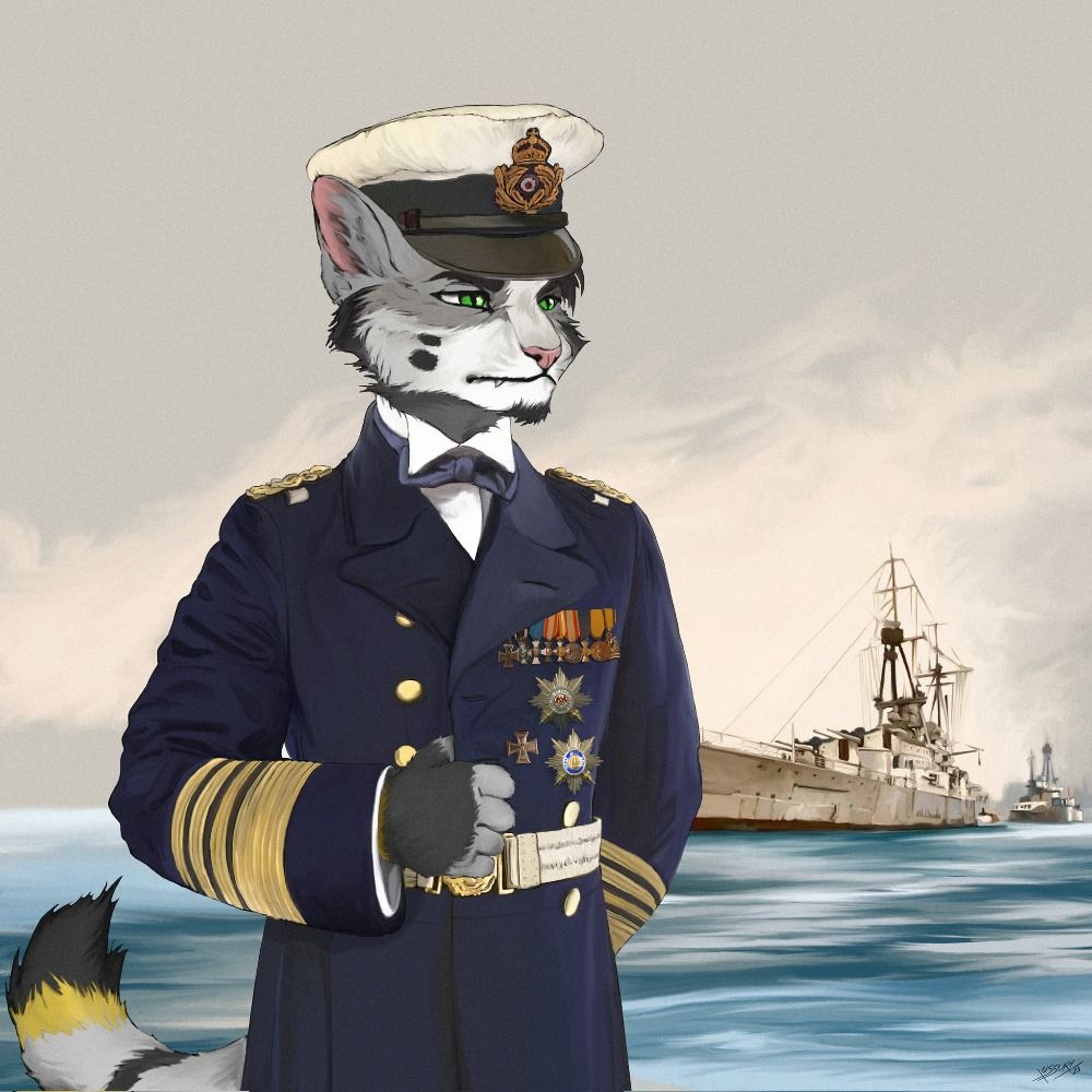 Sven the Cat
