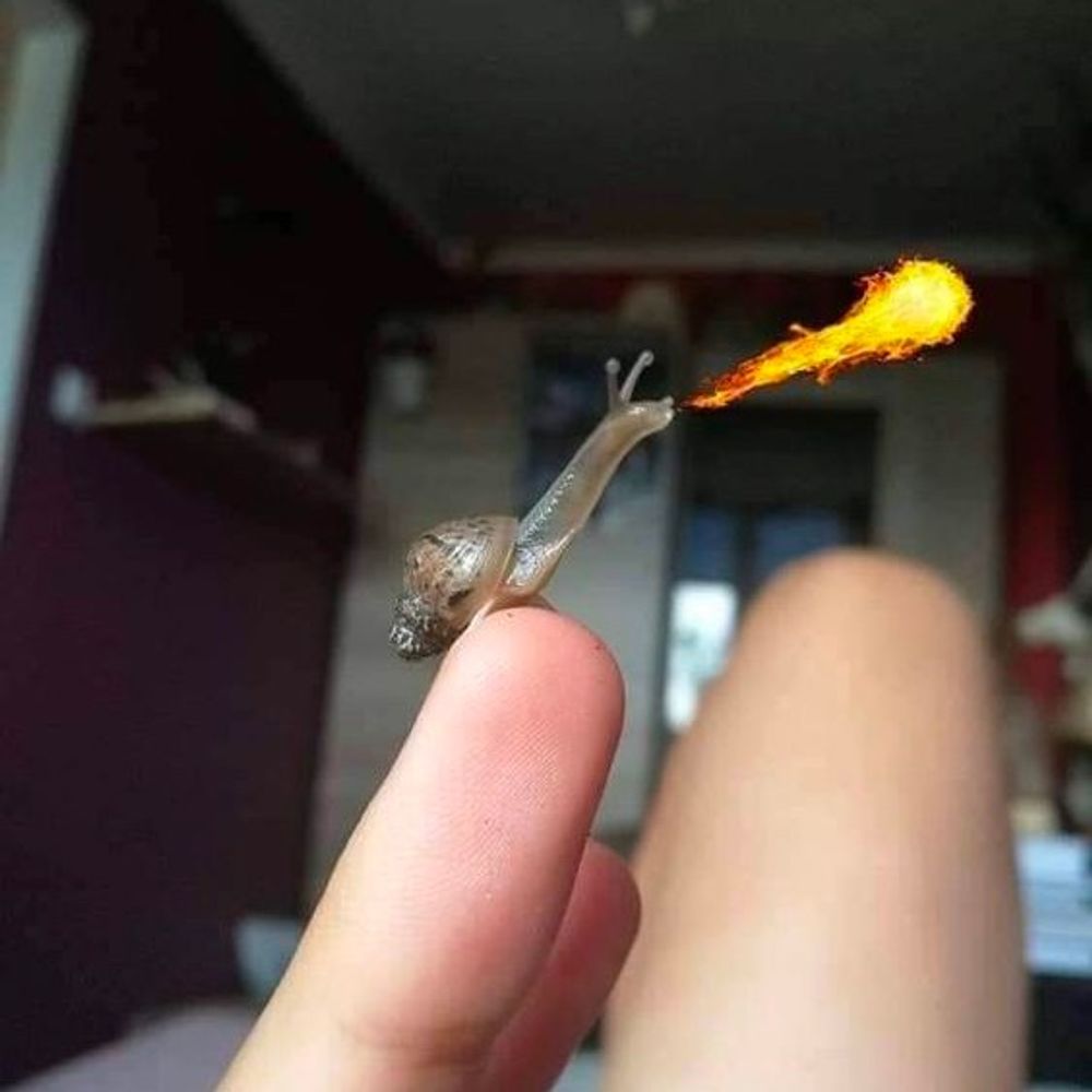 똥