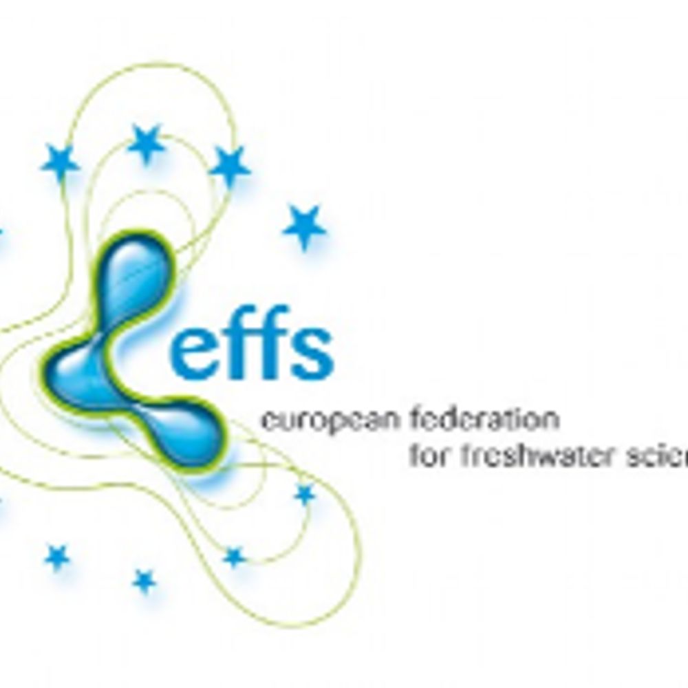 EFYR-EFFS 