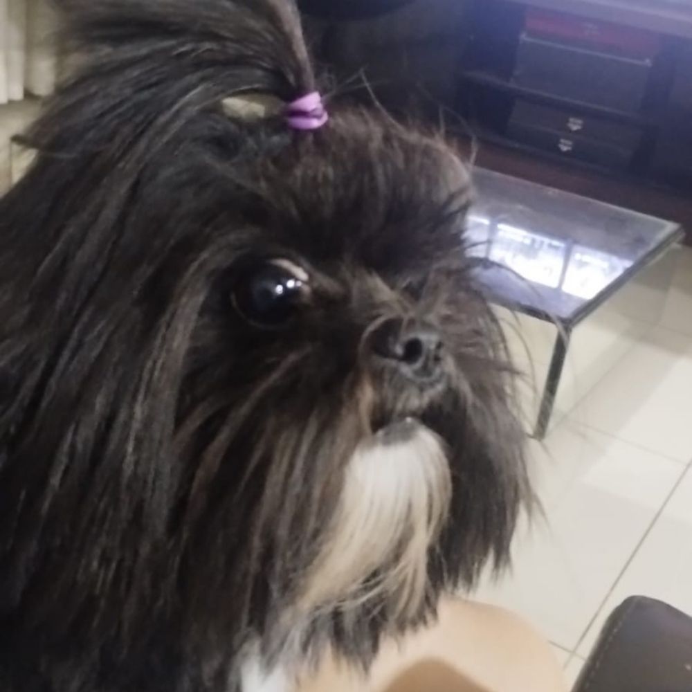 aiaiiiii