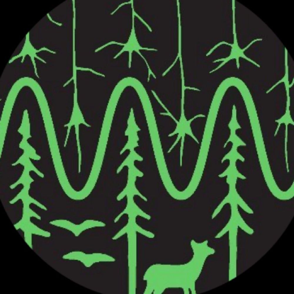 Bridging Brains and Bioacoustics