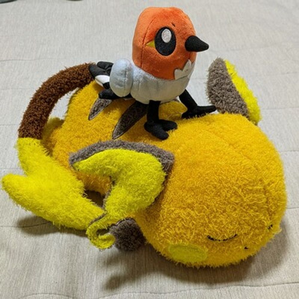 クミン