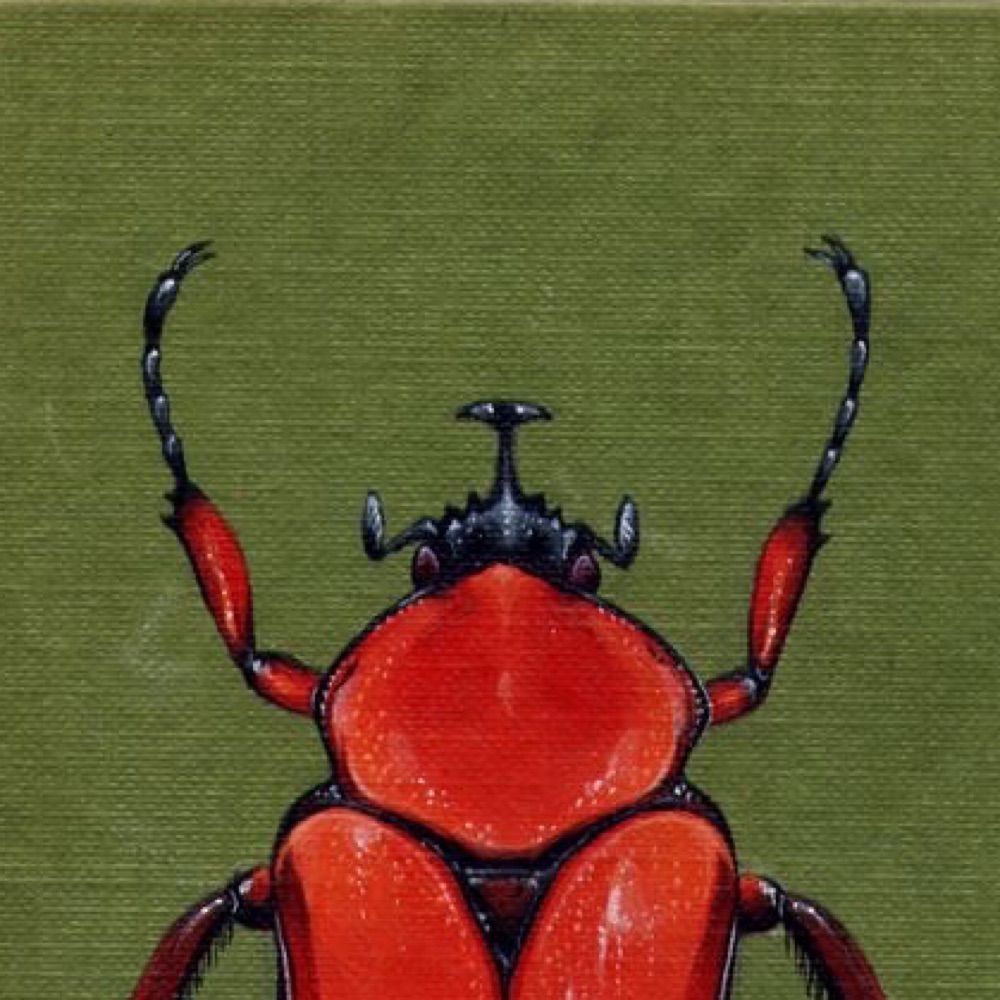 angel🐞🧯