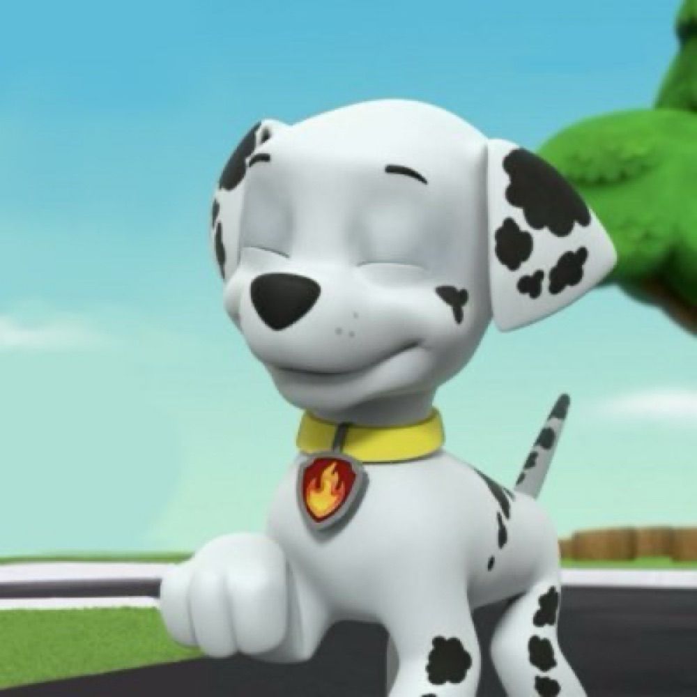PAW Patrol BTS & News