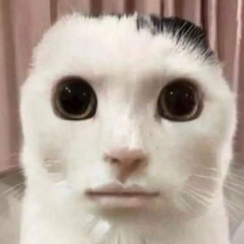 さたう