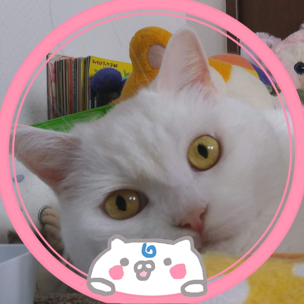 COM23