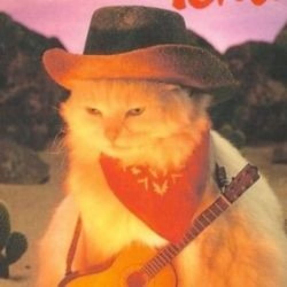 Cowboy like Vg do IO