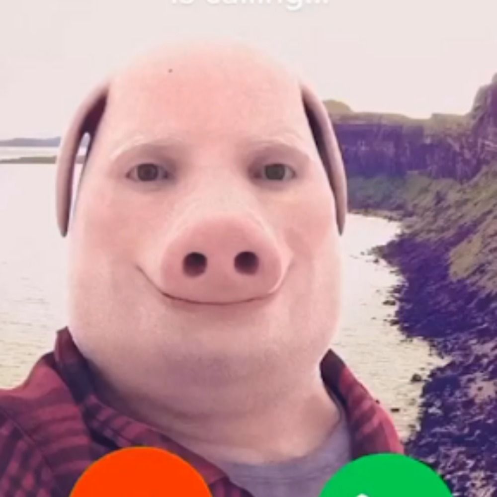 Cini