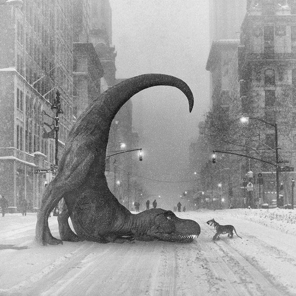 Pando Lé FrigosorusRex