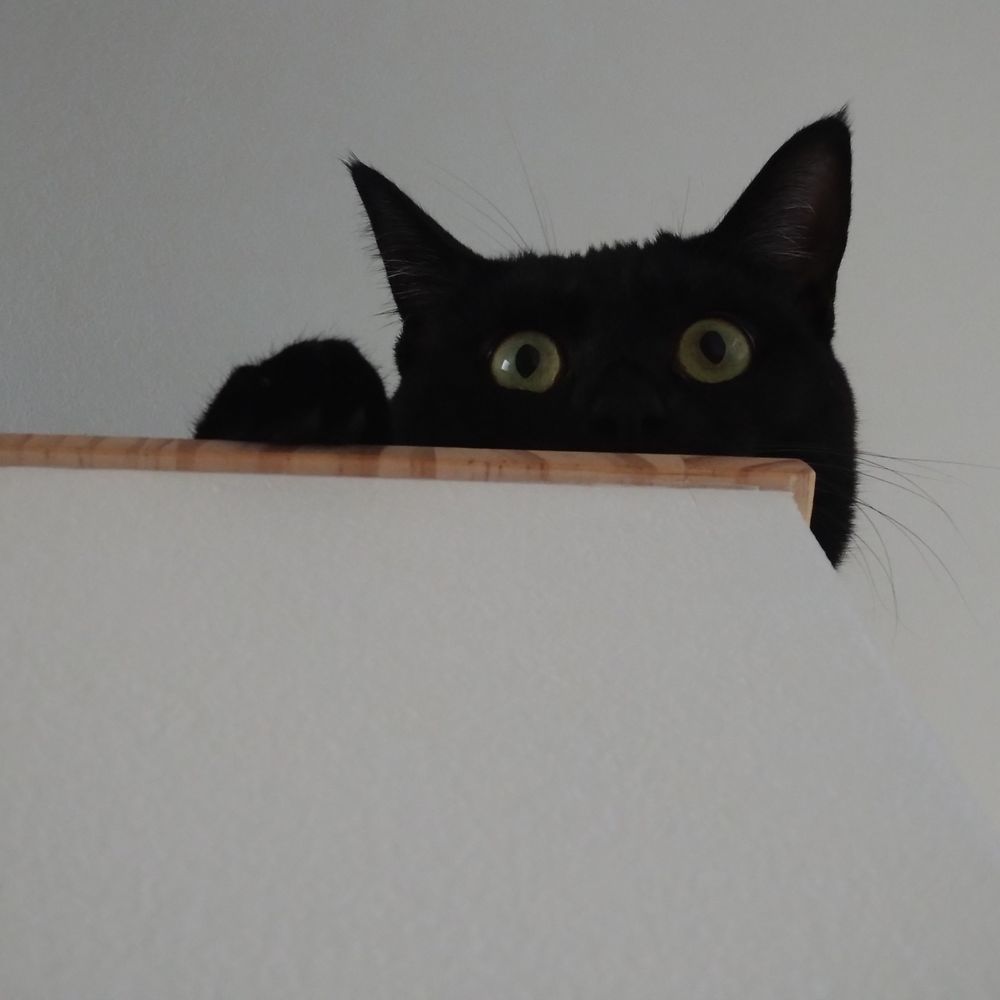 おゐる