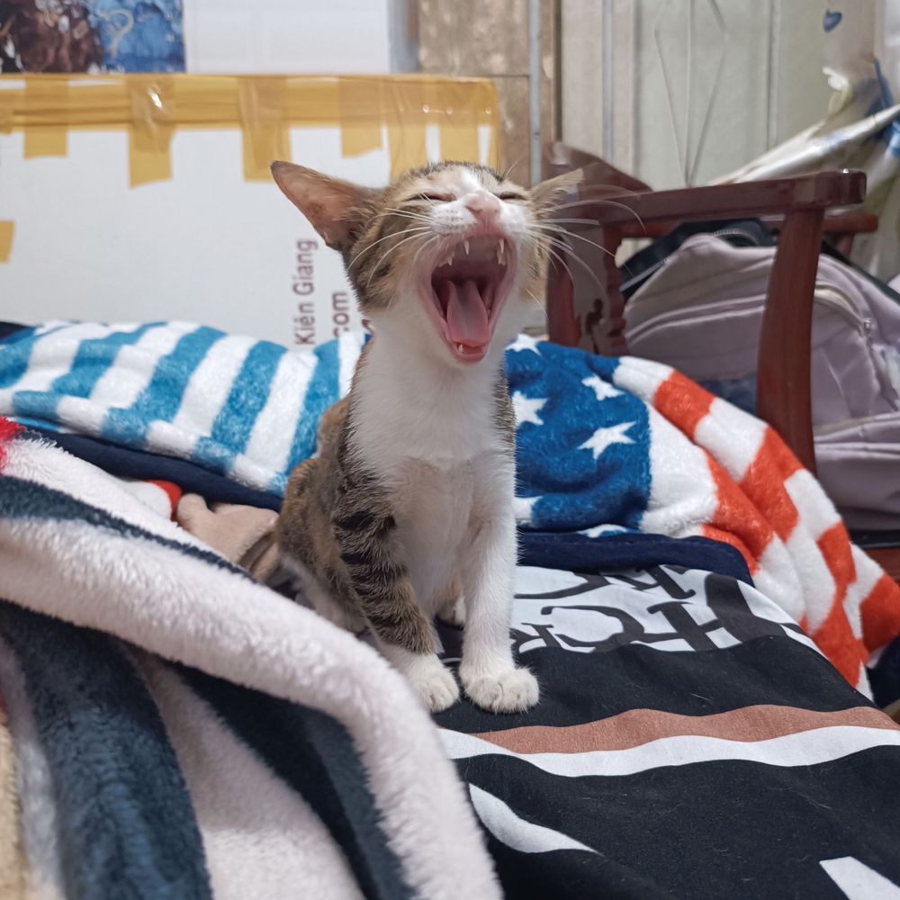 Neyunami