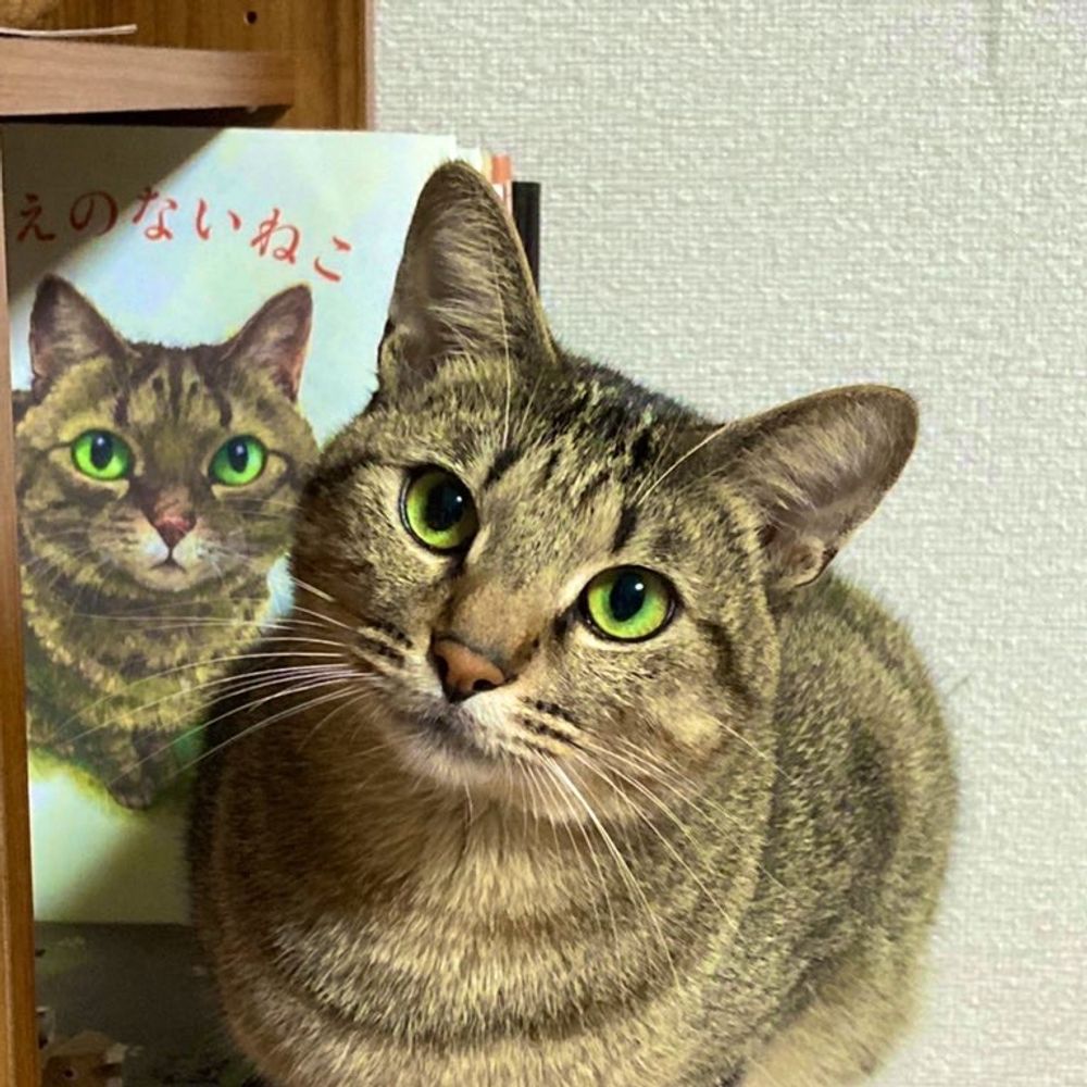 ぽんこつ