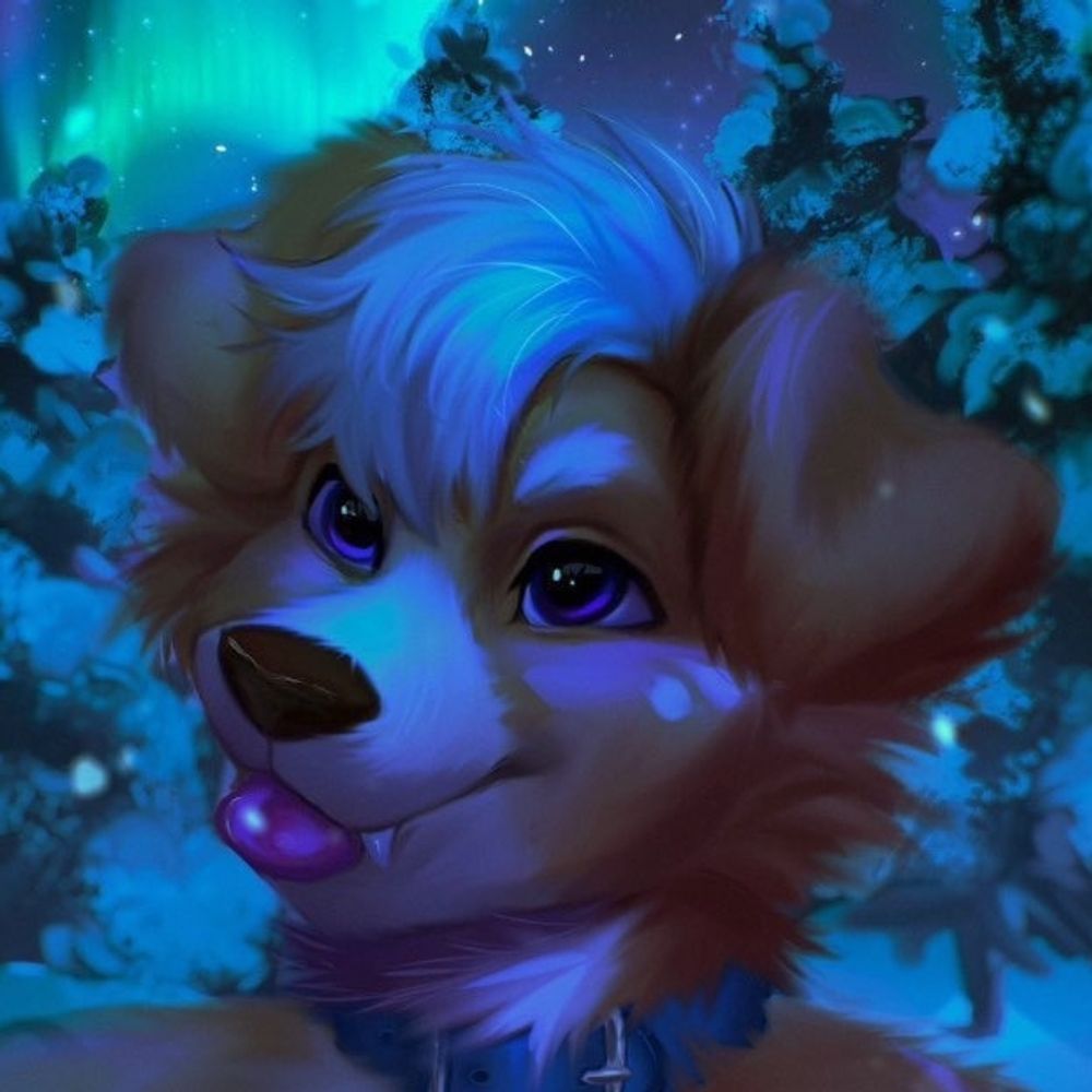 Terry Husky