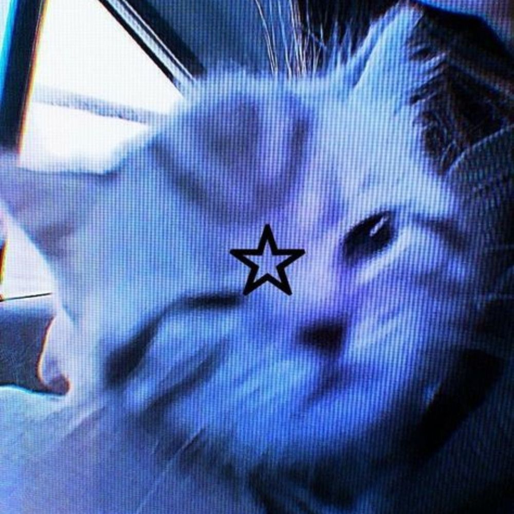 nix