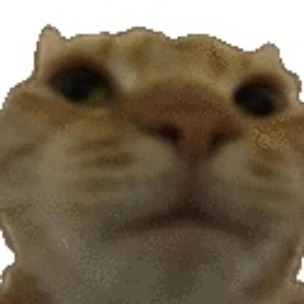 神秘之猫头