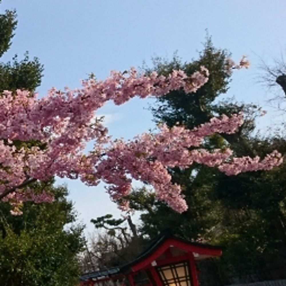 炯瑚れい