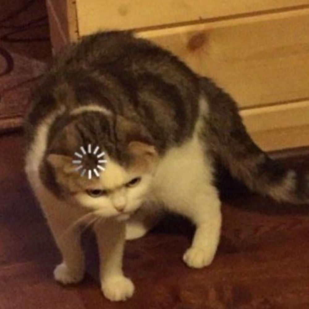 Mawce