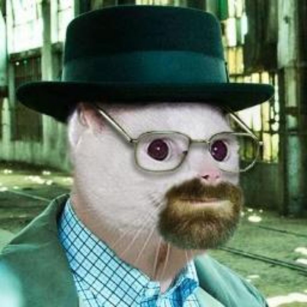 Meowsenberg 