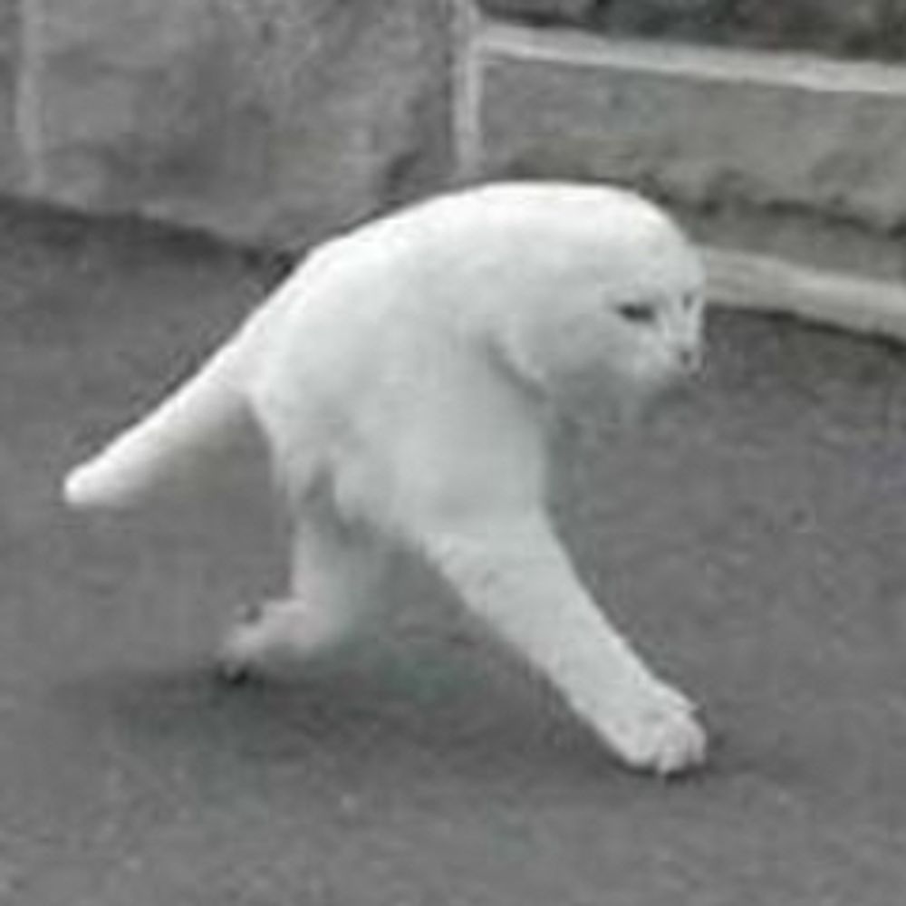 Butt Ass