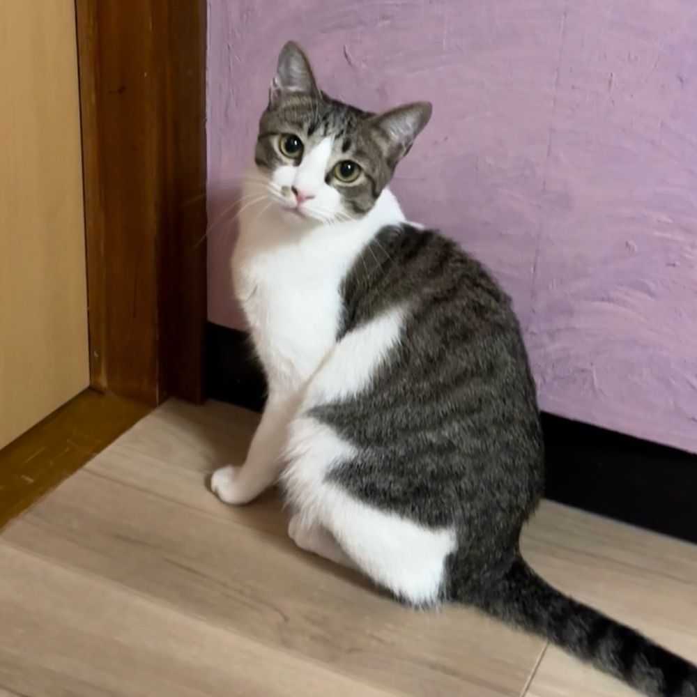 北