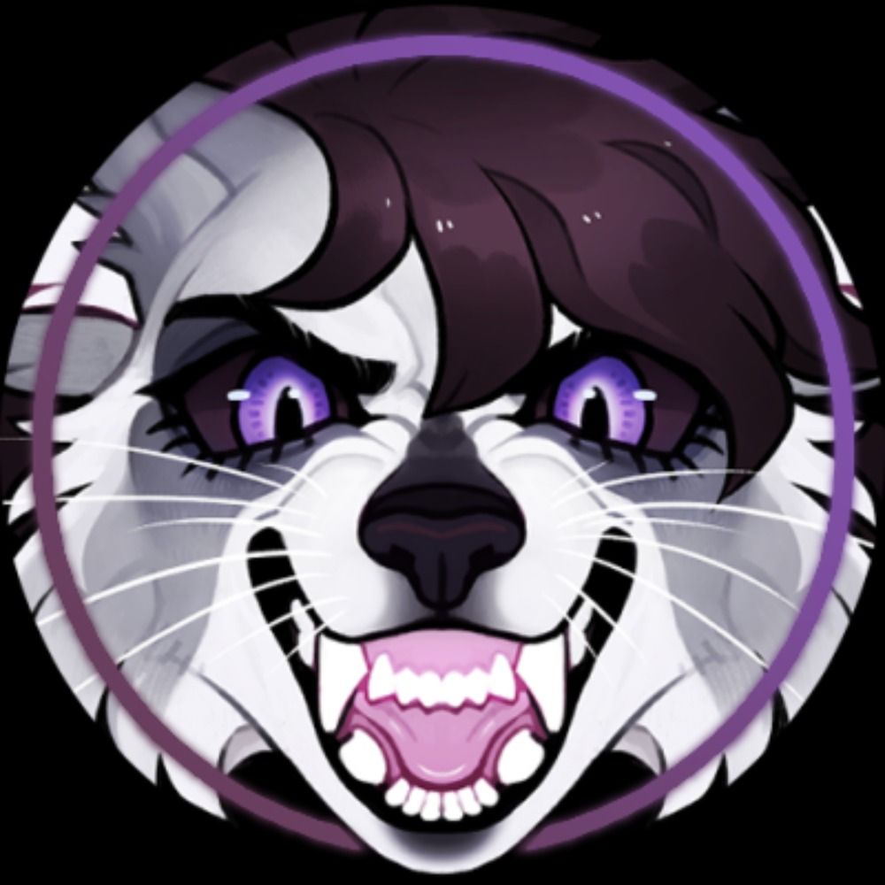 Rava 🦝💜