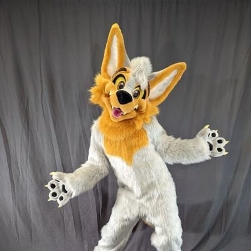 Sniff Coyote