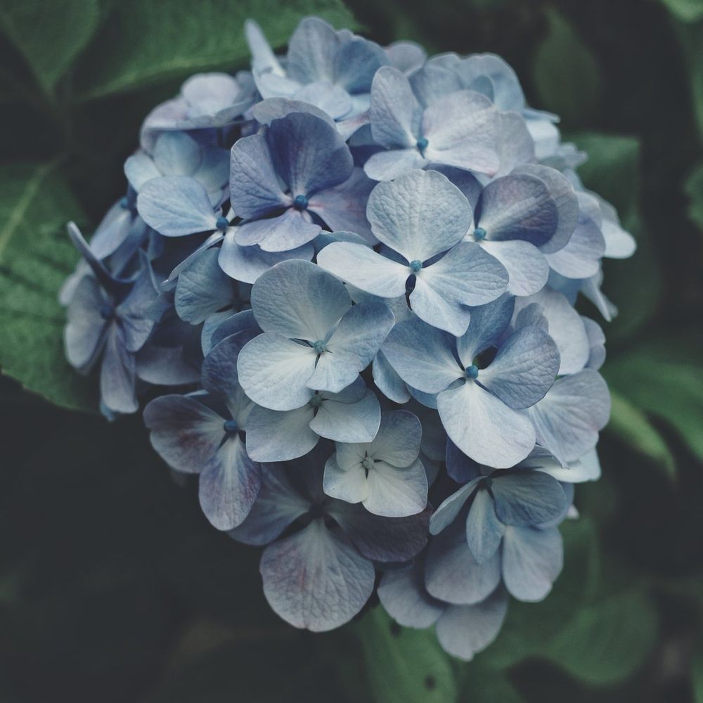 설하